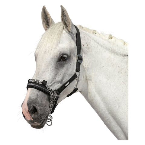 ESKADRON Halfter mit Führkette Control