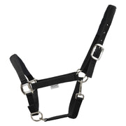 EQUEST Halfter Dual Plus