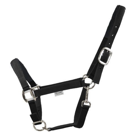EQUEST Halfter Dual Plus