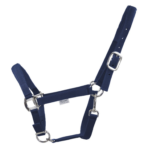 EQUEST Halfter Dual Plus