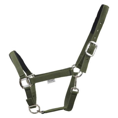 EQUEST Halfter Dual Plus