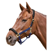 EQUEST Halfter Equi-Stretch
