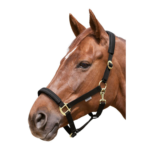 EQUEST Halfter Equi-Stretch