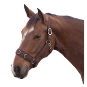 Horse-friends Longier- und Stallhalfter