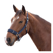 Horse-friends Longier- und Stallhalfter