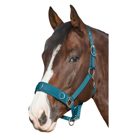 Horse-friends Longier- und Stallhalfter
