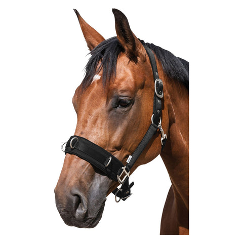 Horse-friends Longier- und Stallhalfter