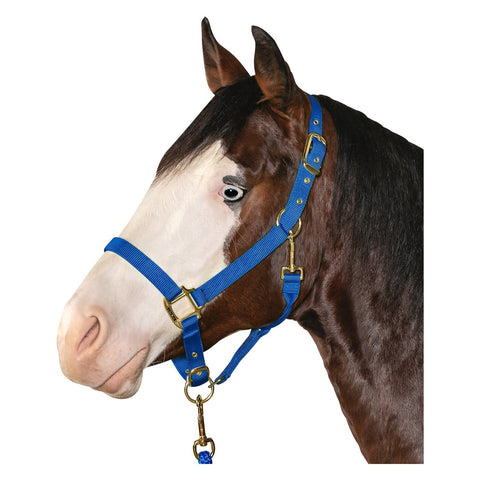 L-pro West Halfter mit Messingbeschlägen