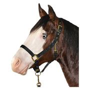 L-pro West Halfter mit Messingbeschlägen