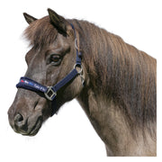Horse-friends Webhalfter Take it Isi