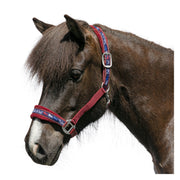 Horse-friends Webhalfter Take it Isi