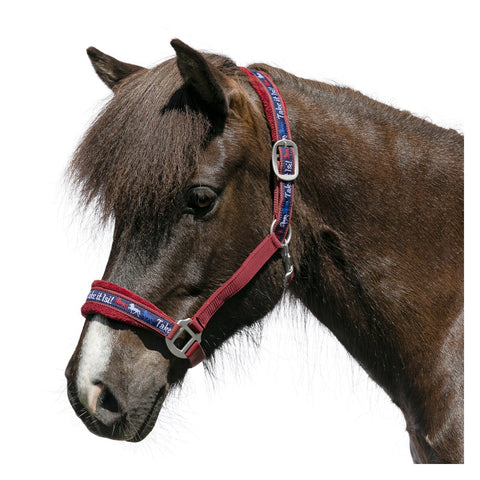 Horse-friends Webhalfter Take it Isi