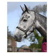 bucas Halfter Dublin