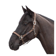 Horse-friends Halfter Seattle