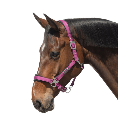 Horse-friends Halfter Seattle