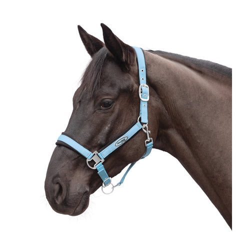 Horse-friends Halfter Seattle