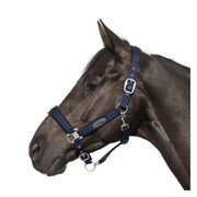 Horse-friends Halfter Seattle