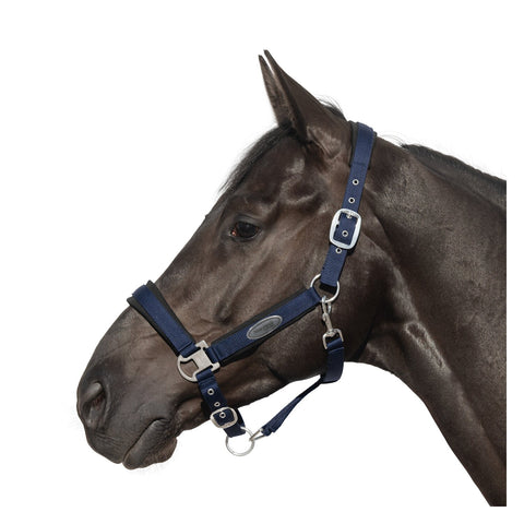 Horse-friends Halfter Seattle