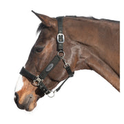 Horse-friends Halfter Seattle