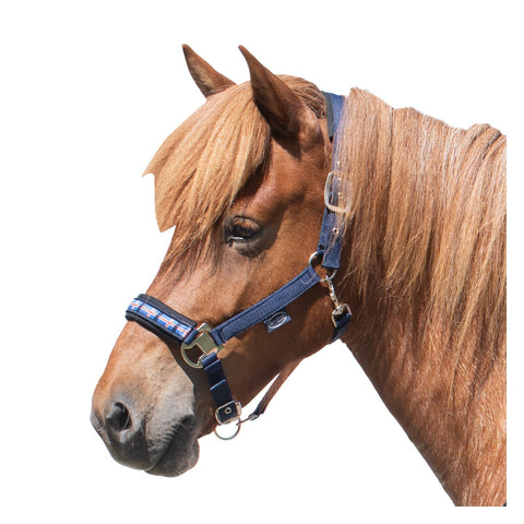 Horse-friends Island-Halfter Keflavik