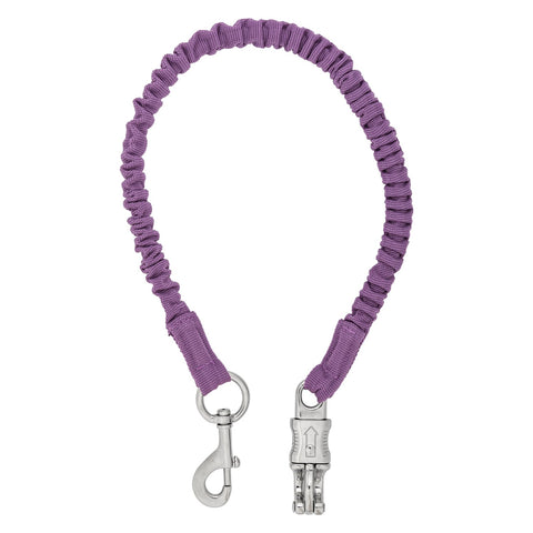 Horse-friends Anbinder