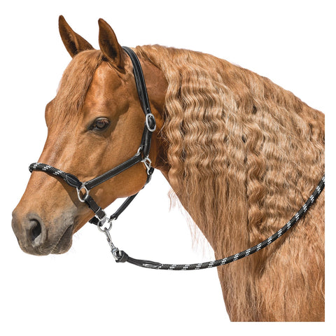 L-pro West Lederhalfter Combination