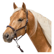 L-pro West Lederhalfter Combination