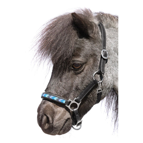 Loesdau Lederstallhalfter