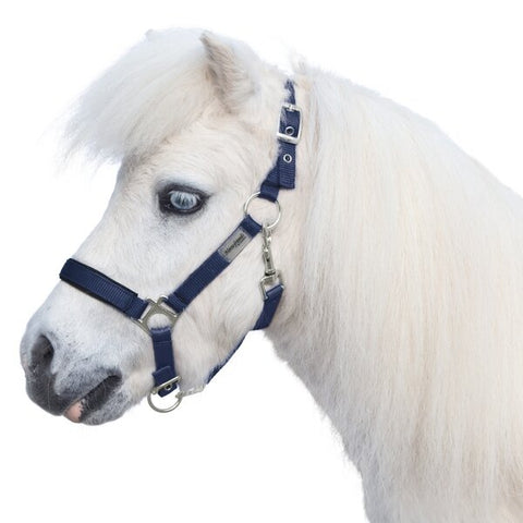 Horse-friends Halfter
