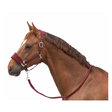 Horse-friends Halfter-Set Rouen