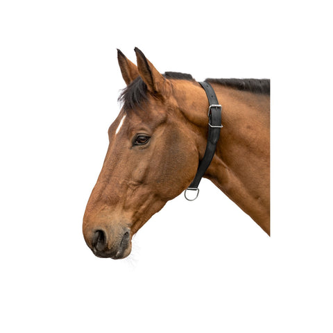 Loesdau Halsriemen aus Kunststoff