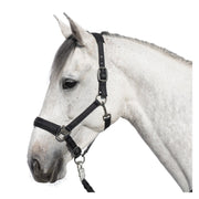 Cheval de Luxe Halfter Lyon