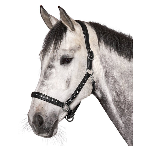 Cheval de Luxe Lederhalfter Adelaide