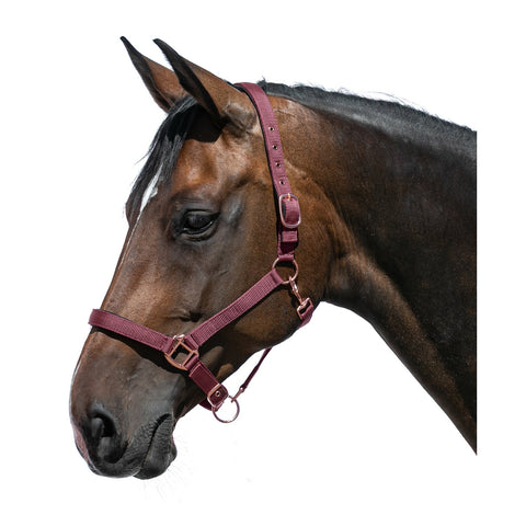 Horse-friends Halfter Lima