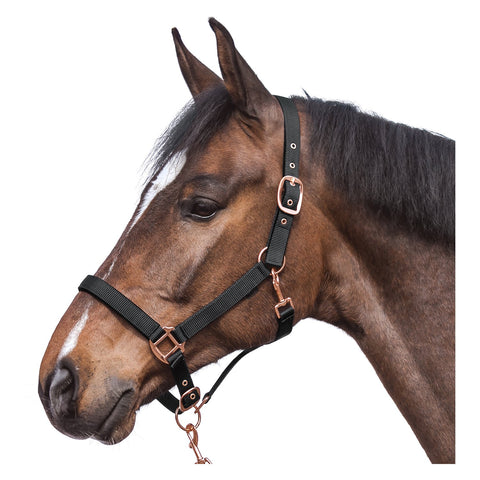 Horse-friends Halfter Lima