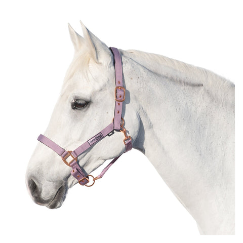 Horse-friends Halfter Lima