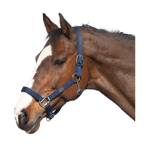 Horse-friends Sicherheits-Halfter