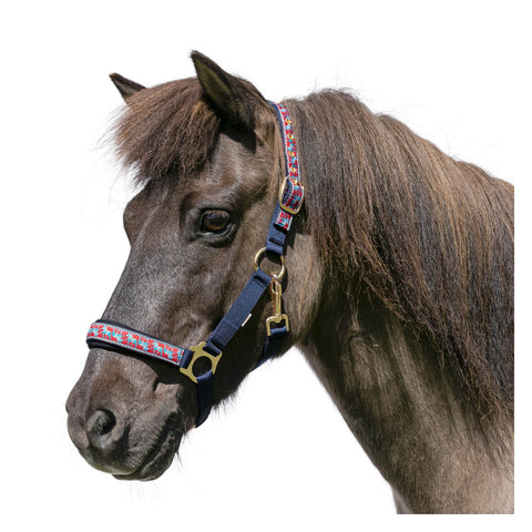 Loesdau Halfter Akureyri