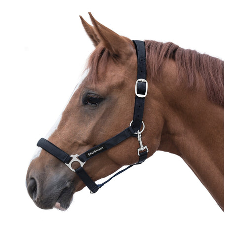 black forest Halfter