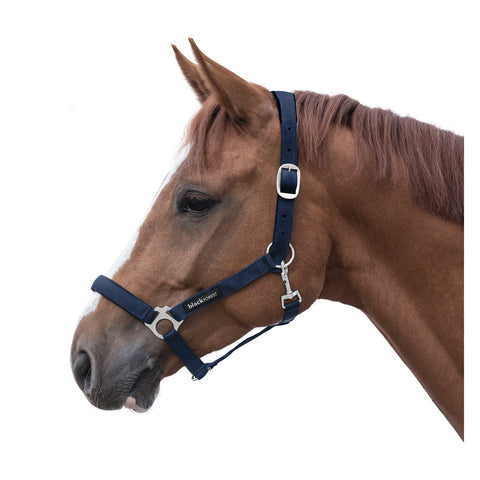 black forest Halfter