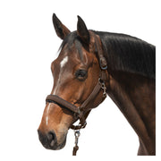 Cheval de Luxe Halfter Toulouse