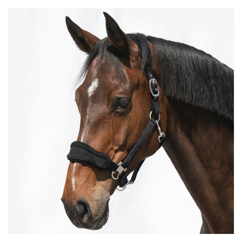 Cheval de Luxe Halfter Bayonne