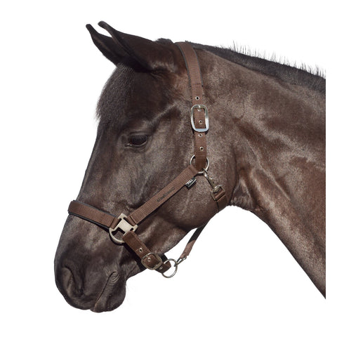 black forest Halfter