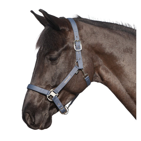 black forest Halfter