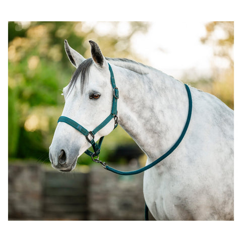HORSEWARE Halfter und Führstrick