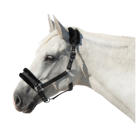 Cheval de Luxe Halfter Manila