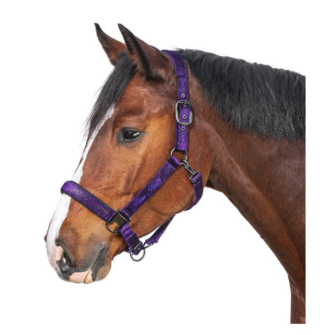 Horse-friends Halfter Athina