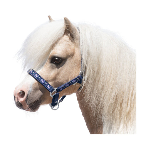 Horse-friends Halfter