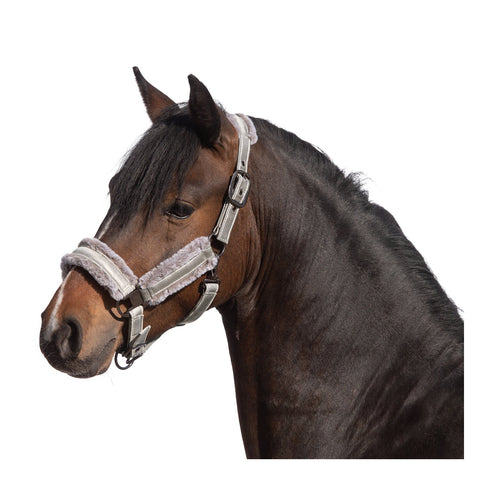 RIDE now Halfter Cairns