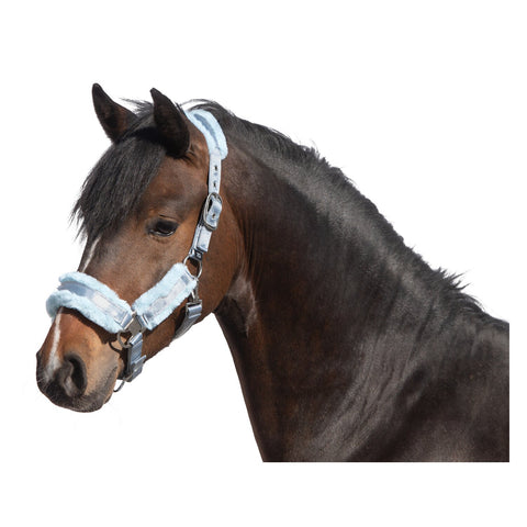 RIDE now Halfter Cairns